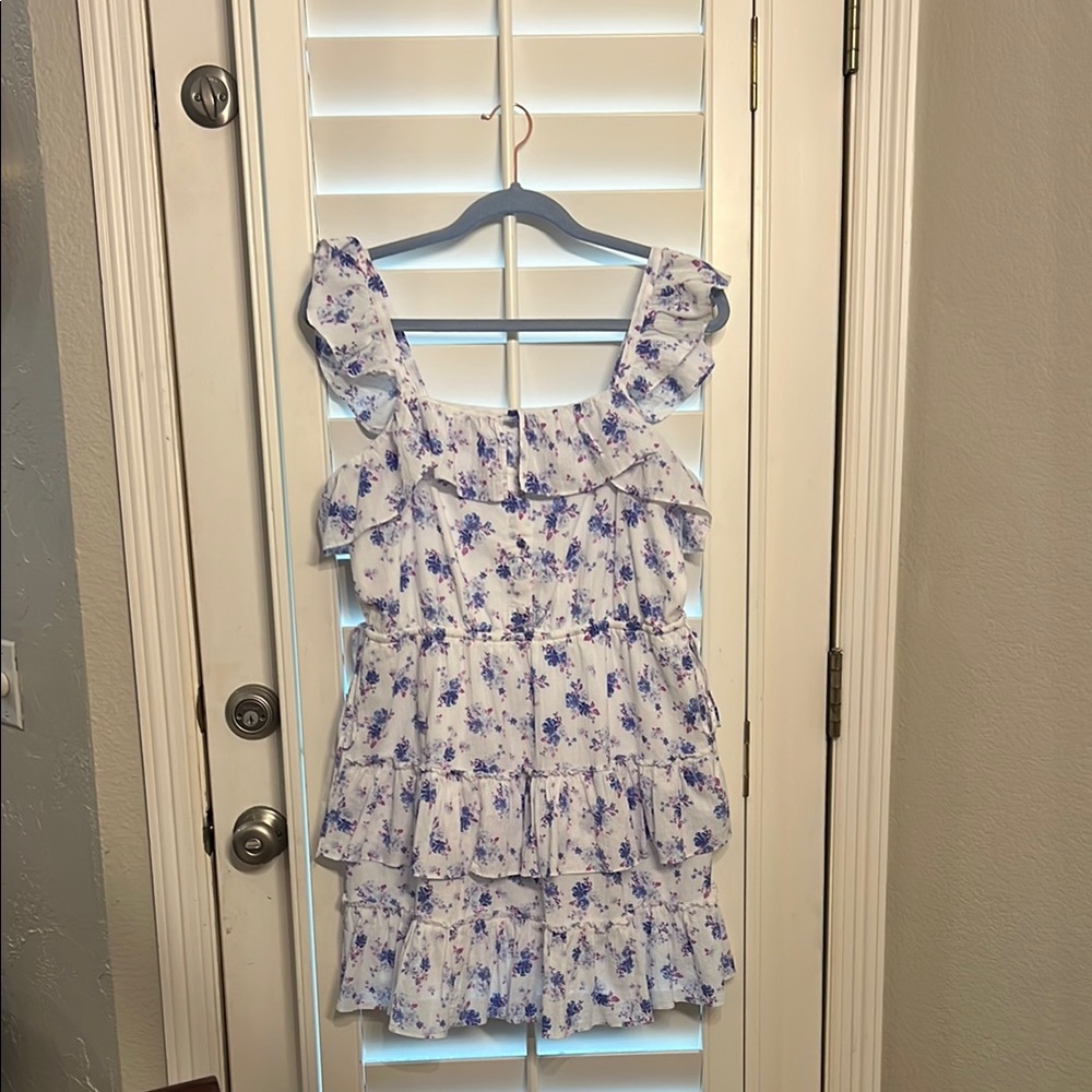 EUC LoveShackFancy x Target Amalie Floral dress. Size Large
